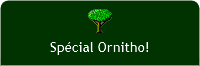 Ornithologie
